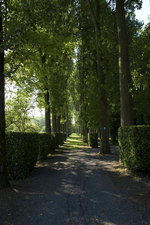 B&B Chateau Bagatelle Frasnes-lez-Anvaing 외부 사진