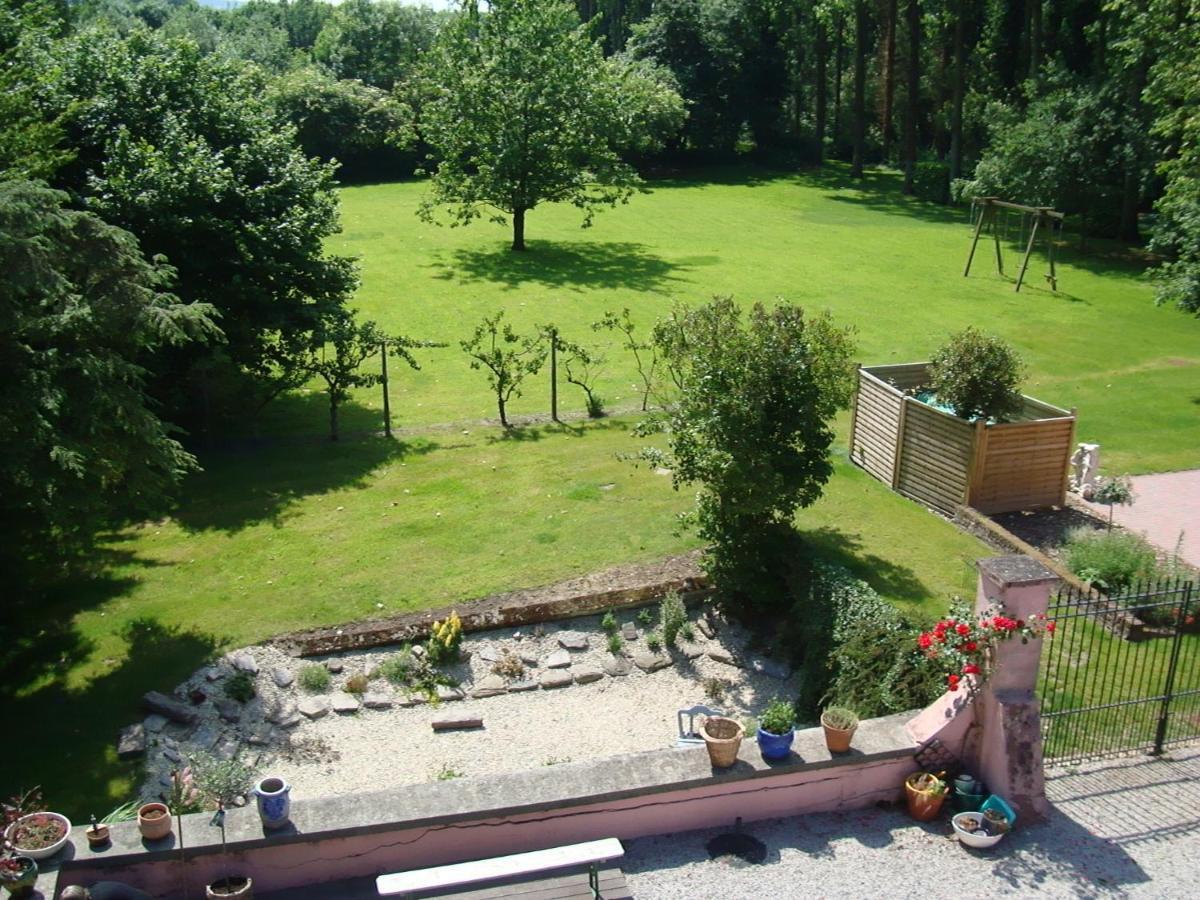 B&B Chateau Bagatelle Frasnes-lez-Anvaing 외부 사진